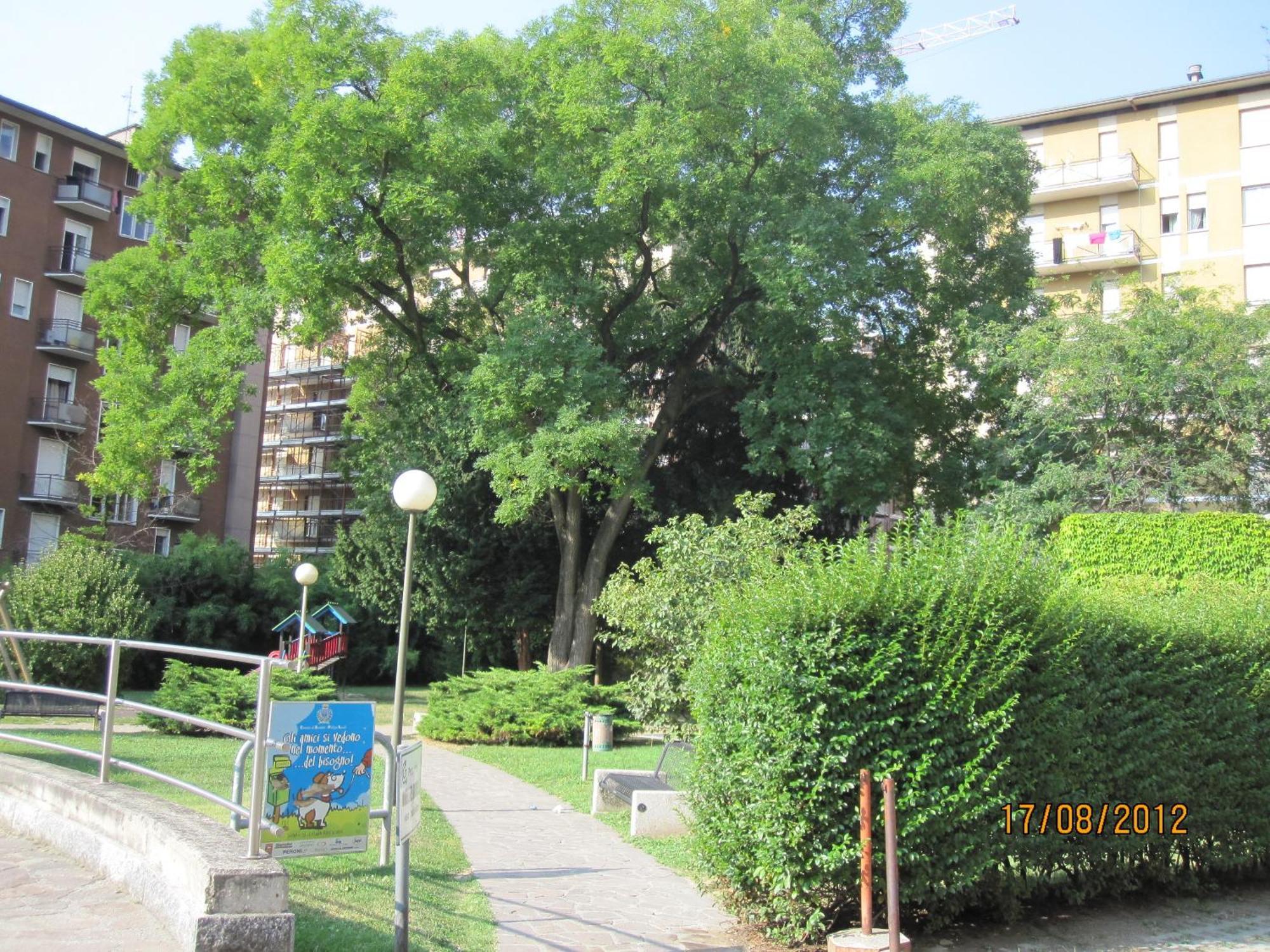 אפרטהוטל סונדריו Piazzi House מראה חיצוני תמונה